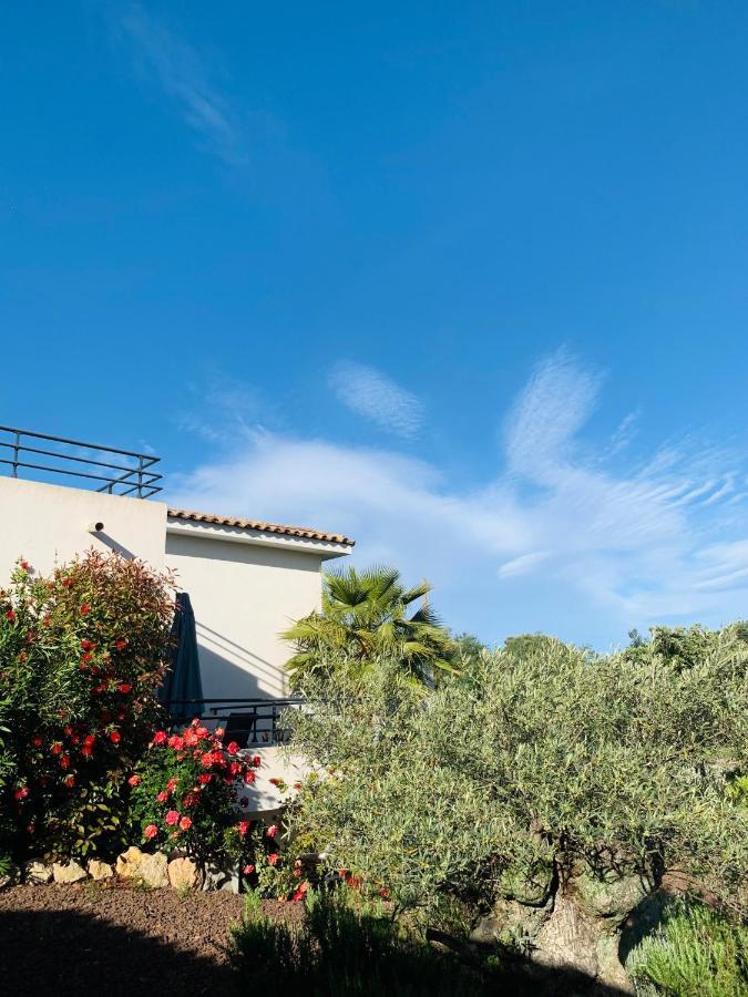 Le Mas Du Soleil Sainte-Maxime Exterior foto